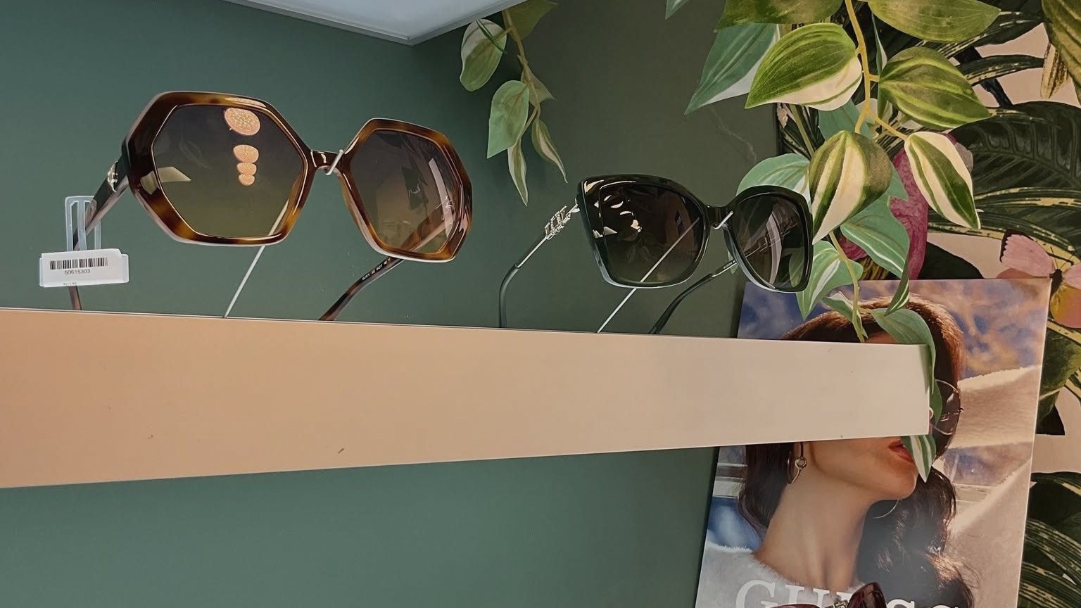 Sunglasses displayed among trailing plants on a sage-green wall