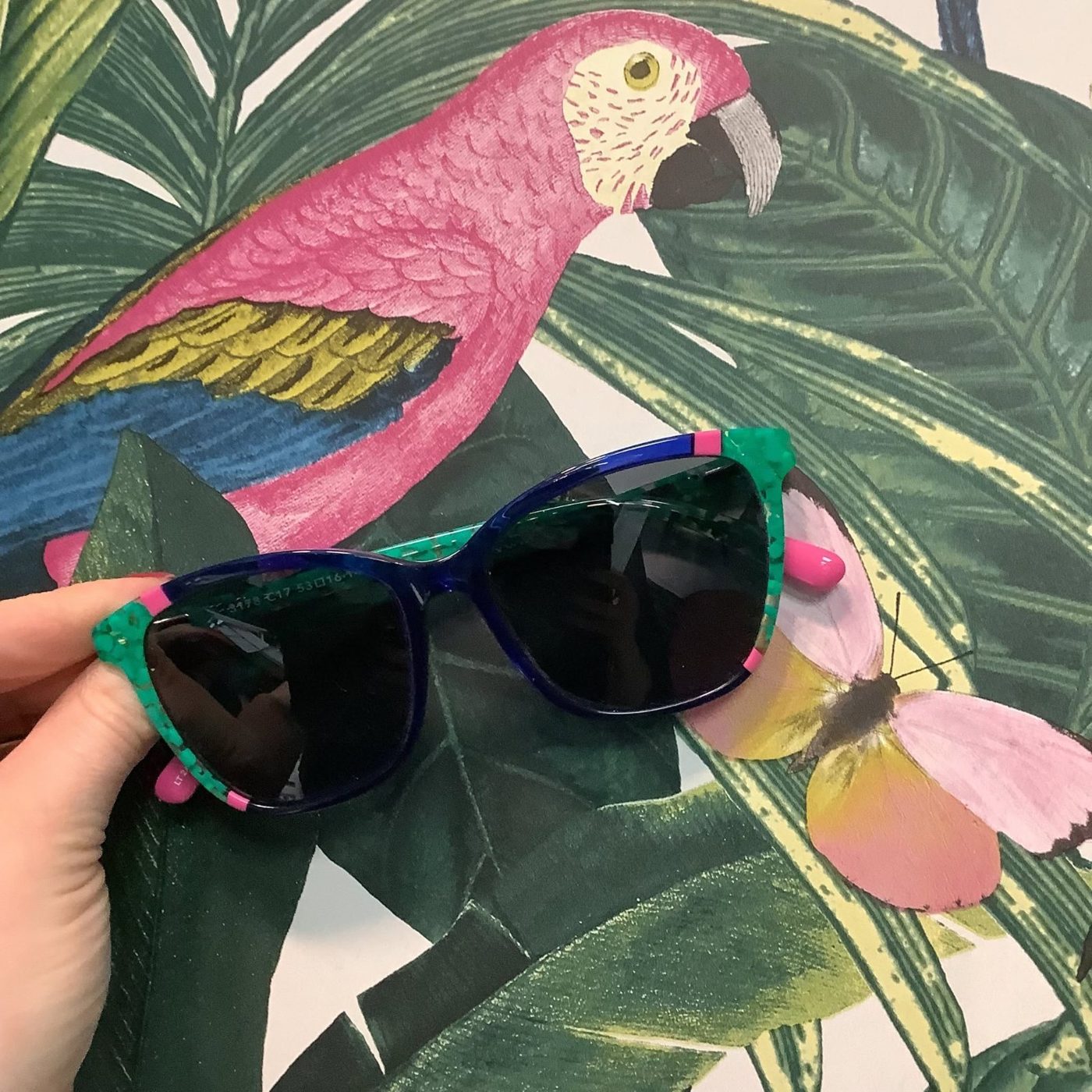Cocoa Mint sunglasses against tropical parrot wallpaper