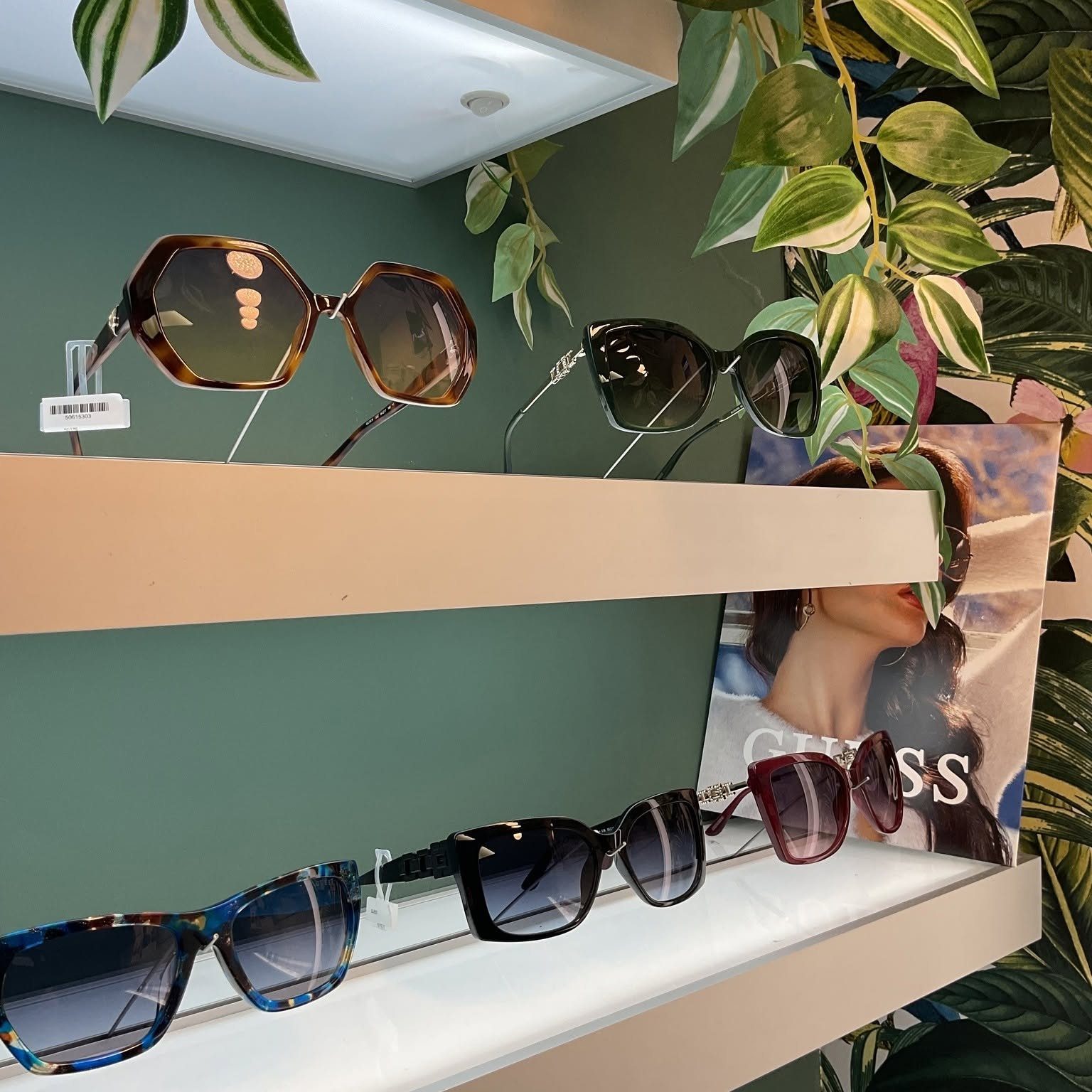 Sunglasses on the sage-green shelves
